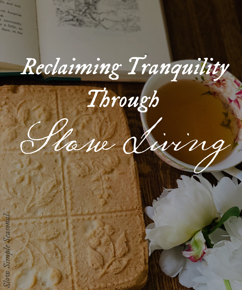 Reclaiming Tranquility Through Slow-Living