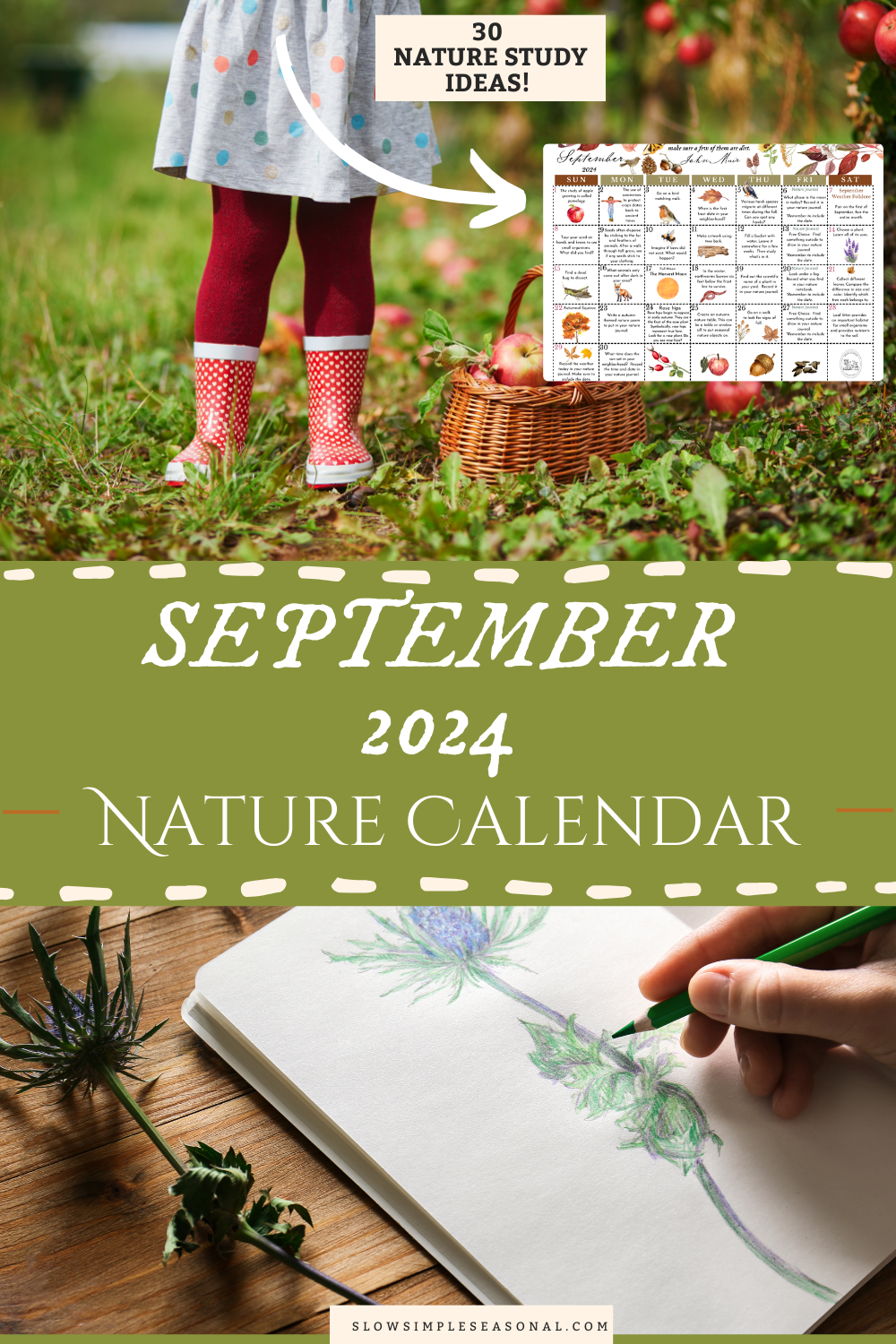 September 2024 Nature Calendar